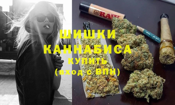 МДПВ Ельня