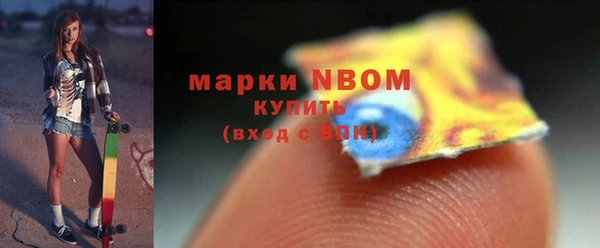 МДПВ Ельня