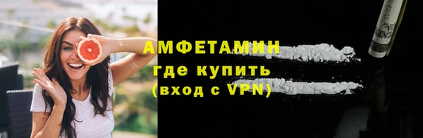 МДПВ Ельня