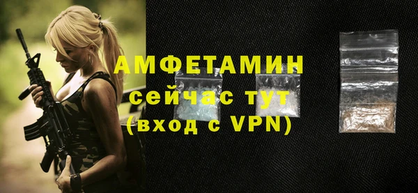 МДПВ Ельня