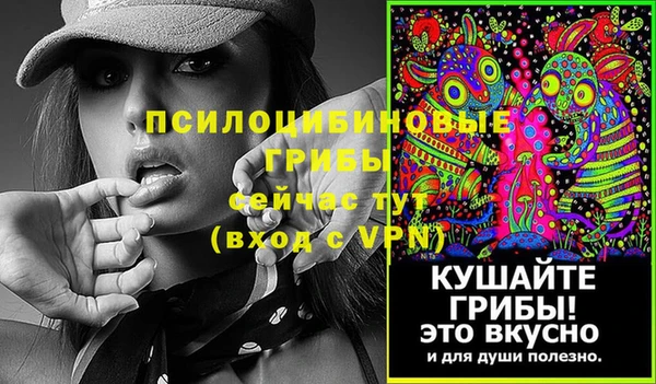 бутират Елабуга