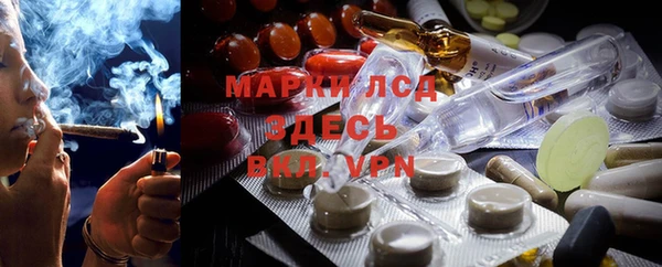 мяу мяу мука Елизово