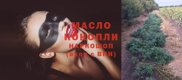 МДПВ Ельня